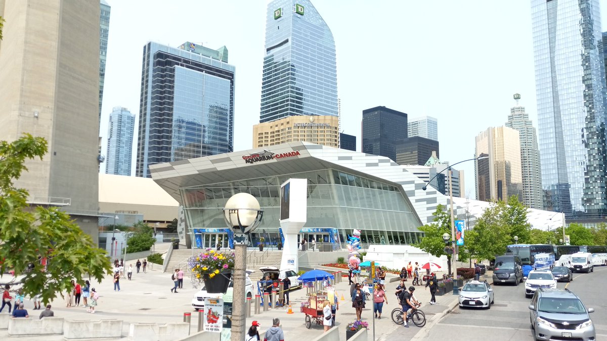 CelebritiesB's tweet photo. Memories of our trip. 🥰 Toronto 2025 #Canada #lovecanada #Toronto https://t.co/XDuzU0i2KQ