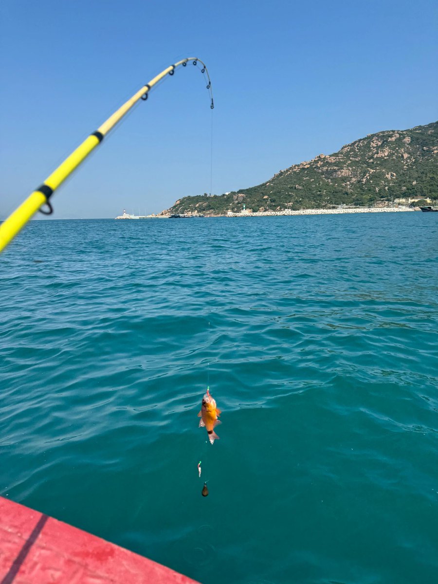 Deep sea fishing is way too much fun! 🎣🌊
Can’t wait to go again!
#SeaFishing #OceanFun #HookedOnFishing