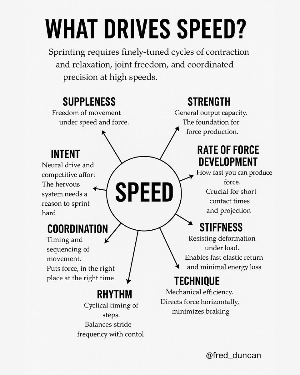 Speed is built by targeting the right qualities, in the right sequence, at the right time.

In my speed programs, we train every factor that truly drives speed, not just sprinting for the sake of it, but refining the underlying systems that support high level output.