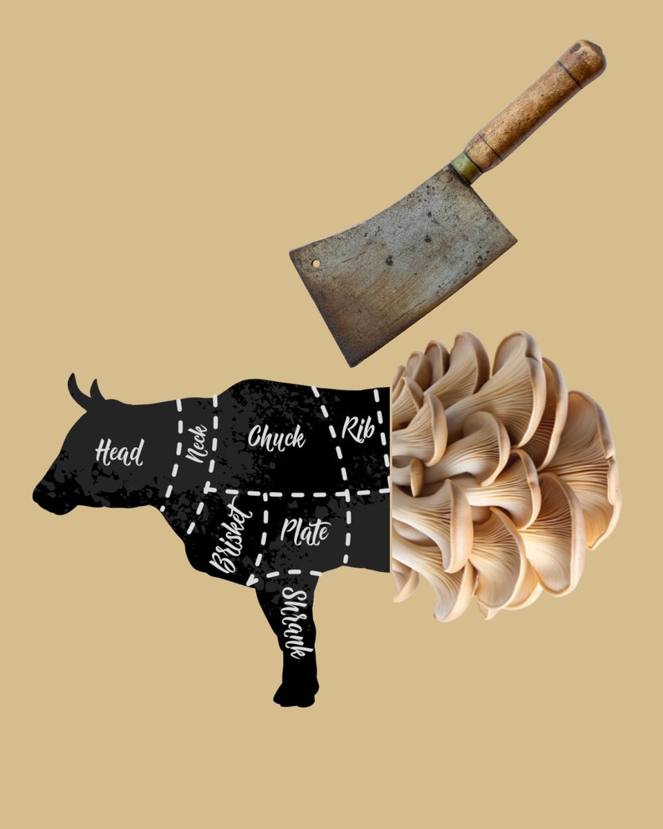 🌱🔪🥩
𝗛𝘆𝗯𝗿𝗶𝗱𝗲 𝘃𝗹𝗲𝗲𝘀𝗯𝗲𝗿𝗲𝗶𝗱𝗶𝗻𝗴𝗲𝗻
Het concept "De Groene Slager" stelt ambachtelijke slagers, productiebedrijven en vleesbereiders in staat om zelf aan de slag te gaan met hybride vleesproducten.

De groene slager --> beefygreen.com/degroeneslager

#beefygreen