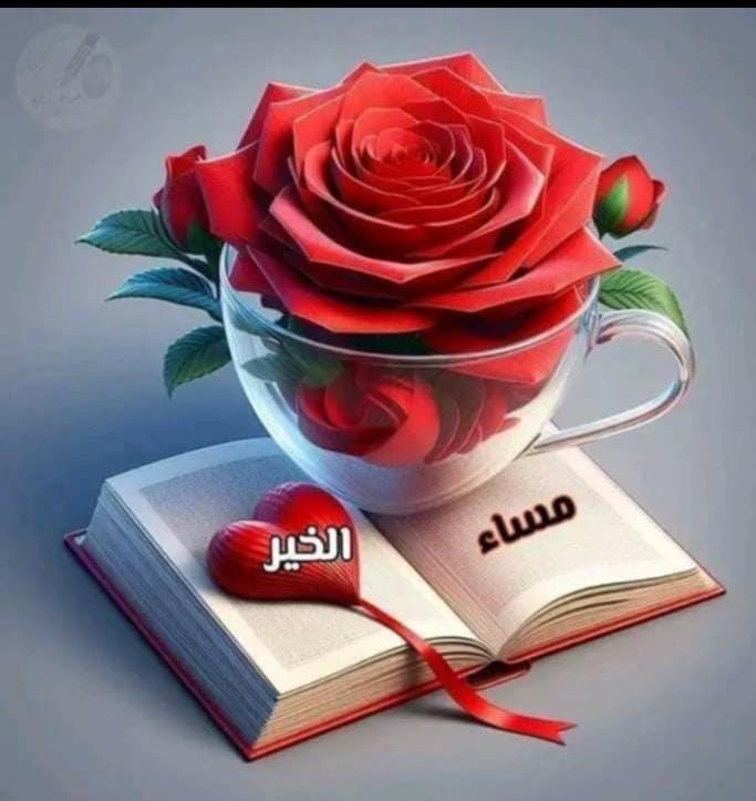 محمود المصرى (@mhmwd_alms21629) on Twitter photo 