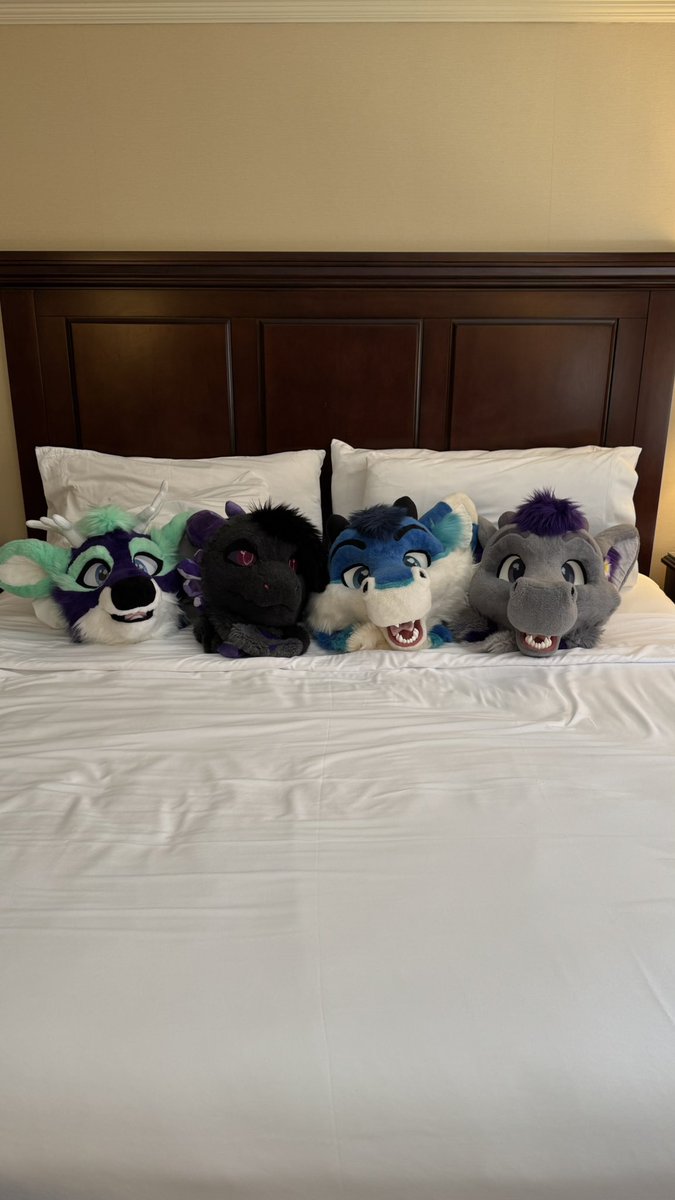 🐲 FluffyCyritz tweet media
