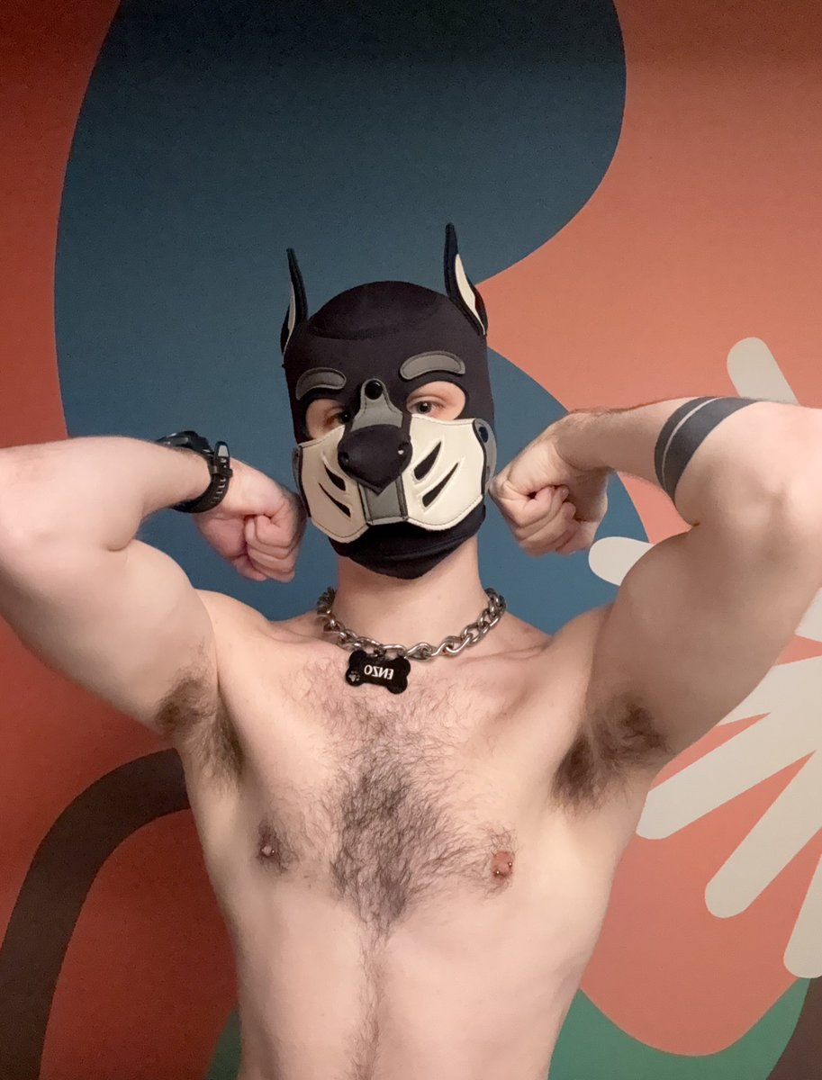 Pup Enzo 🐾 tweet media