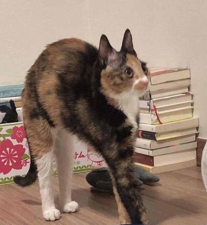 her şey çok gergin ve belirsiz