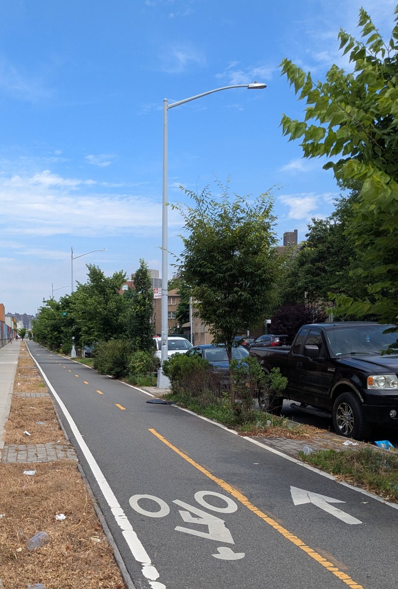 #TBT Urban trees remove up to 7 million tons of air pollutants each year in the U.S., helping prevent asthma and lung problems—especially in children and older adults (Nowak et al., 2014). That’s a breath of fresh air! #bikenyc #walknyc