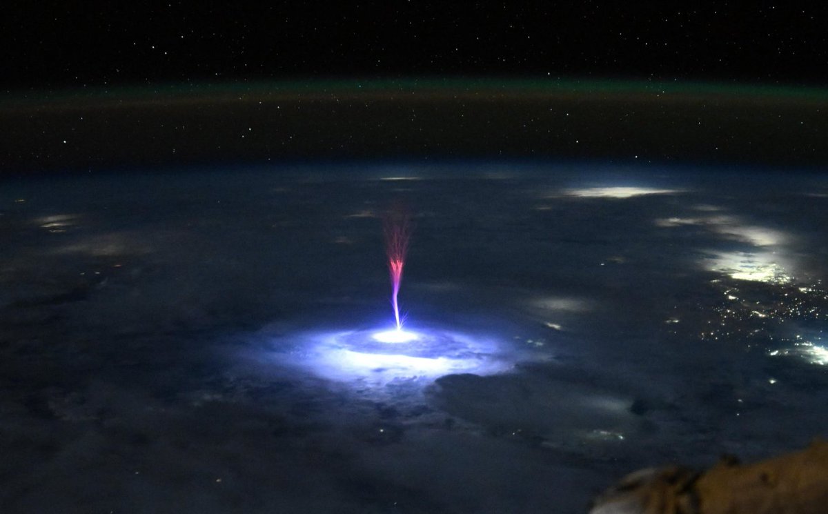 Grant Wise tweet media