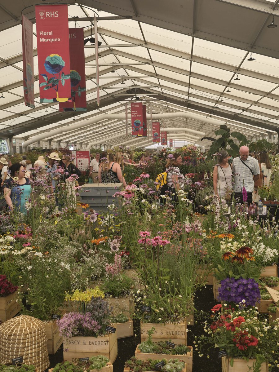 Interesting mix of people at Hampton Court today. Got me thinking about where I fit in and feel comfortable. The truth is, I really don't know. Is that odd?