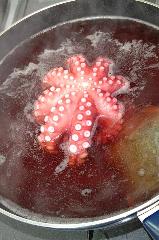 先月は散歩のついでにタコ釣ってました。奥さまも軟体初ゲット。冷凍庫に大好きなゆでダコだらけで夢みたい🐙 