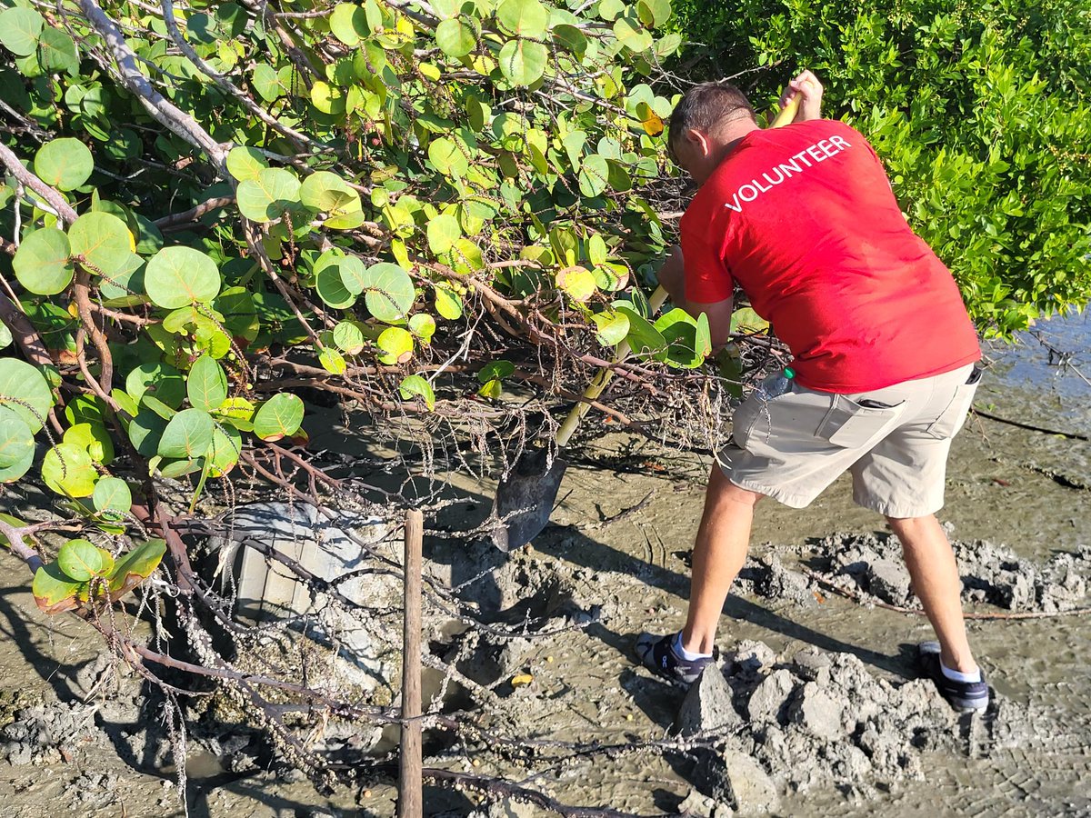 🌊 It’s Clean Beaches Week (July 1–7)! This week is all about celebrating Florida’s beautiful coastlines while reminding us to protect them for future generations.

Did you know the Fourth of July is the most popular beach day and the one that creates the most litter? That’s why
