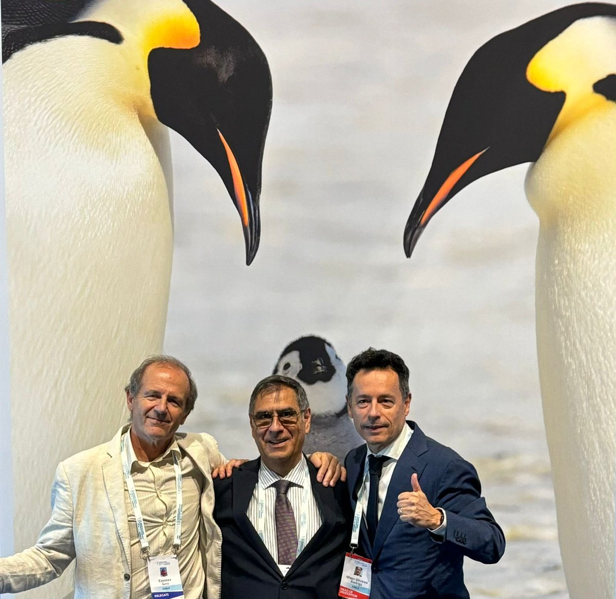 Rod Olsen tweet media