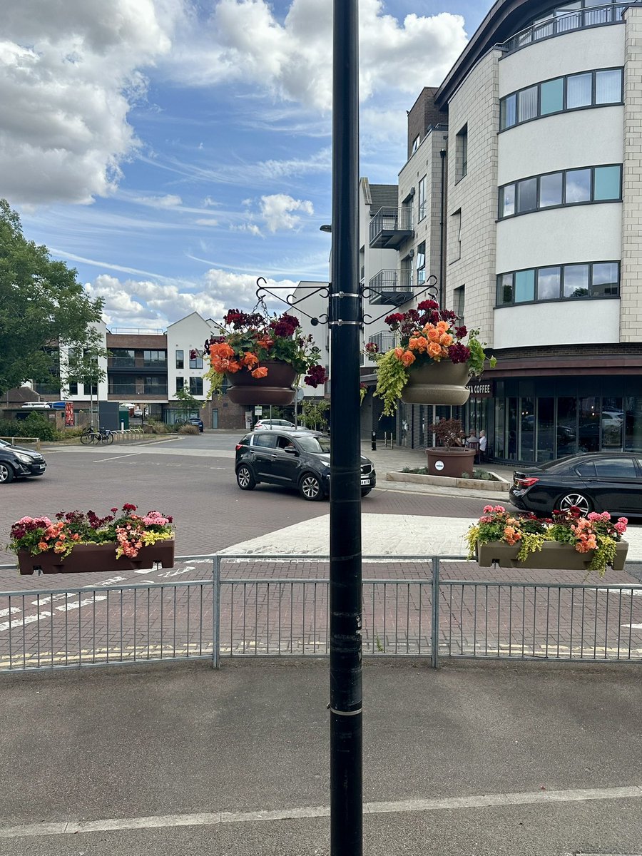 HRinBloom's tweet photo. Its just 2 weeks away from our @AngliaInBloom judging day &amp; the flowers are beginning to bloom beautifully. 

We are so lucky to have the amazing @HoughtonRegisTC grounds team doing such a #fanbloomingtastic job of watering during this warm weather. 👍🏼🥰💪🏼

🩷💜❤️🧡

#HRinBloom https://t.co/qHCMSlijqw