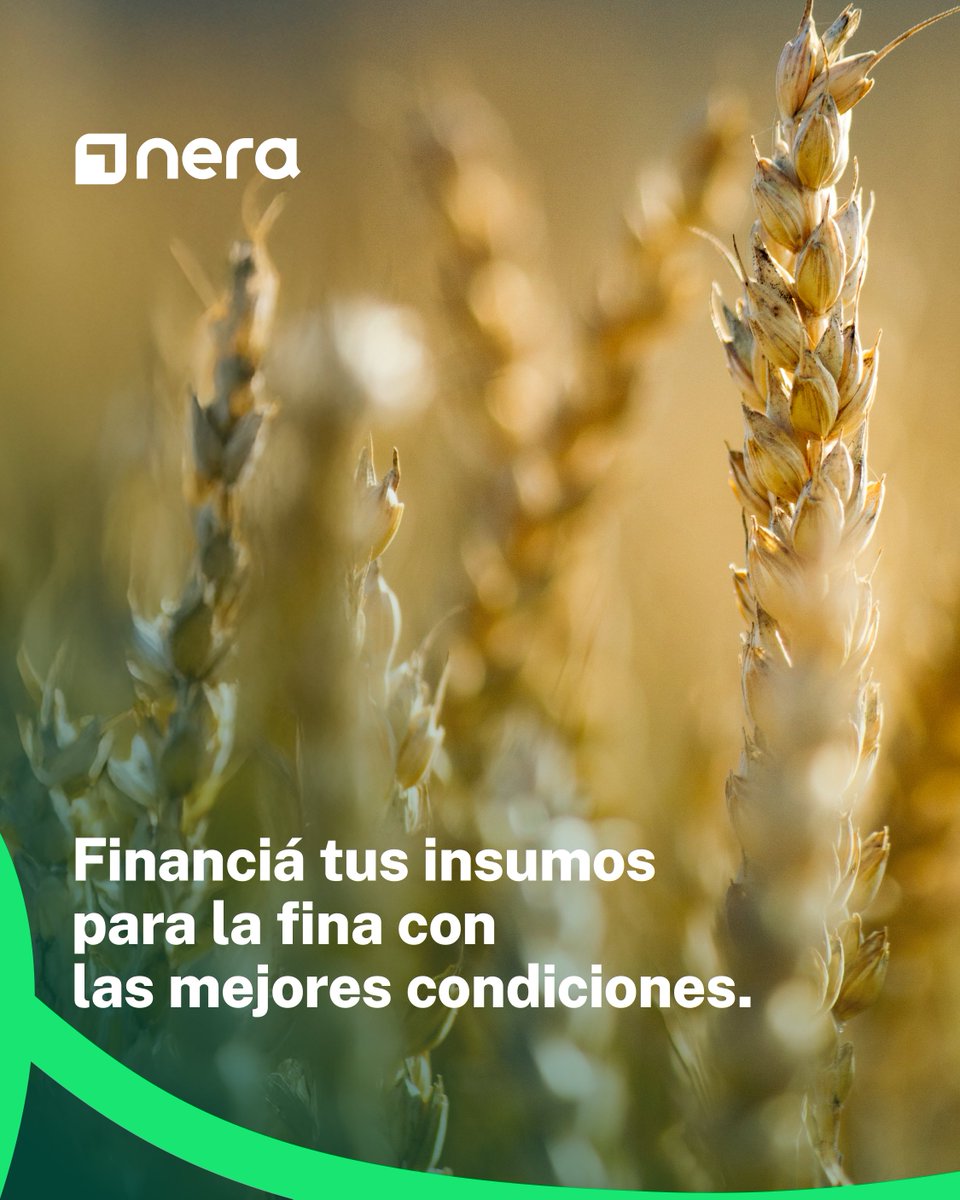 Impulsá tu campaña con la mejor financiación.

Conectate con insumos de Bayer, Syngenta, Corteva y BASF, y financiá tu campaña de trigo con condiciones exclusivas de Galicia, Santander, Comafi y Banco del Sol.
💡 Con Nera entendemos que donde hay una oportunidad, hay un camino.