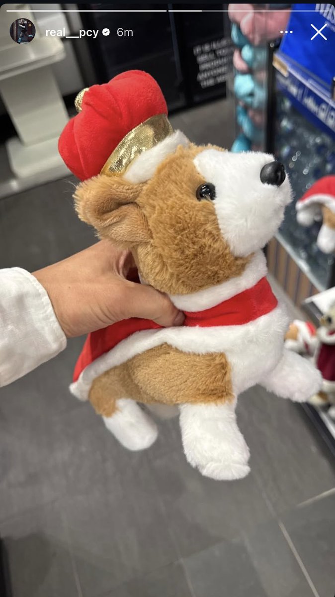 parkyoonhee65's tweet image. Chanyeol just posted a story holding a puppy doll in Christmas clothes 🎄🐶
And I know that outfit… I know it too well…
But it’s okay, I love being the clown 🤡😔#chanbaek #찬백 #백현 #찬열