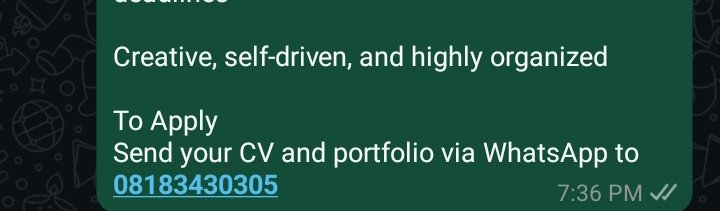 ednikamadem's tweet photo. @CrownprinceCom2 @Crownprince_Com We’re Hiring: Graphics Designer (Motion &amp; Static)

Location: Lagos Island
Engagement: Full-time / Contract
Department: Marketing
Work Mode: Hybrid (Monday–Saturday, 2 days onsite)
Salary: ₦150,000–₦200,000

To Apply
Send your CV and portfolio via WhatsApp to 08183430305 https://t.co/Q96MQIGUUL