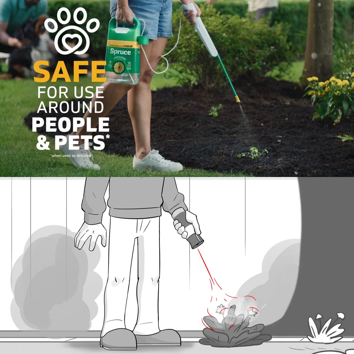 ValiantKai's tweet image. Last year I did a few live-action storyboards for Spurce weed killer commercials. It was a surprise when I was looking for weed killer.
#storyboard #storyboardartist