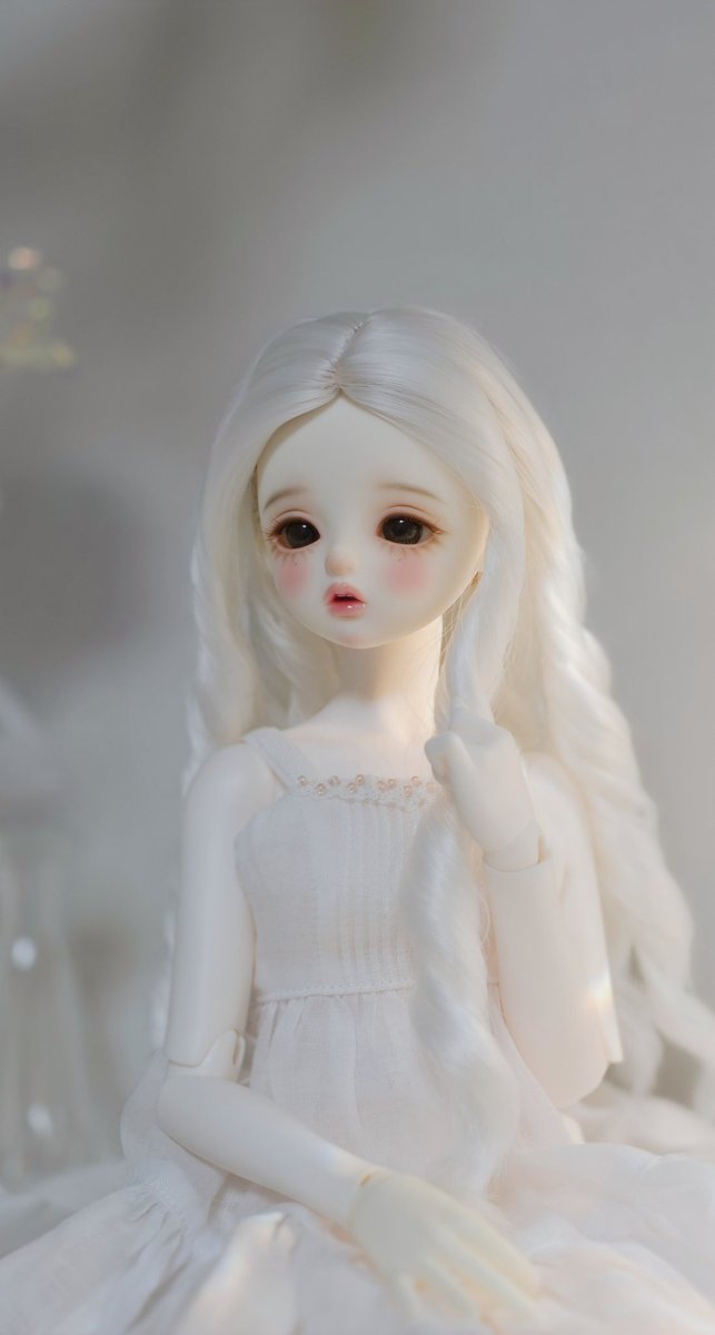 : 노루 tweet media