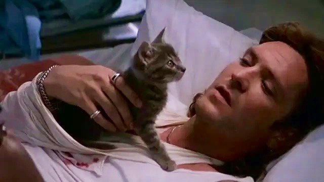 #MichaelMadsen is one of our favorite character actors. We're very sad to hear he's exited the stage for the last time. We send our gentlest purrs to his family &amp; friends. (Now we're going to watch "Straight Talk" because who can argue with Dolly and Michael?)
#RIP