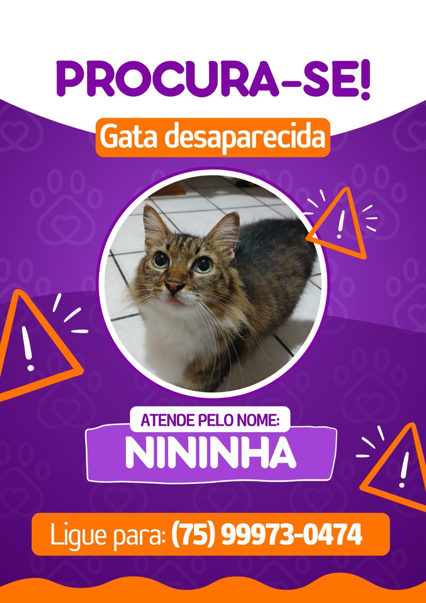 assig93's tweet photo. FEIRA DE SANTANA - BA

Nininha desapareceu anteontem no cond. Parque das Acácias, em frente à APAE, descida do Feira IV https://t.co/EsoqeWx7Sf