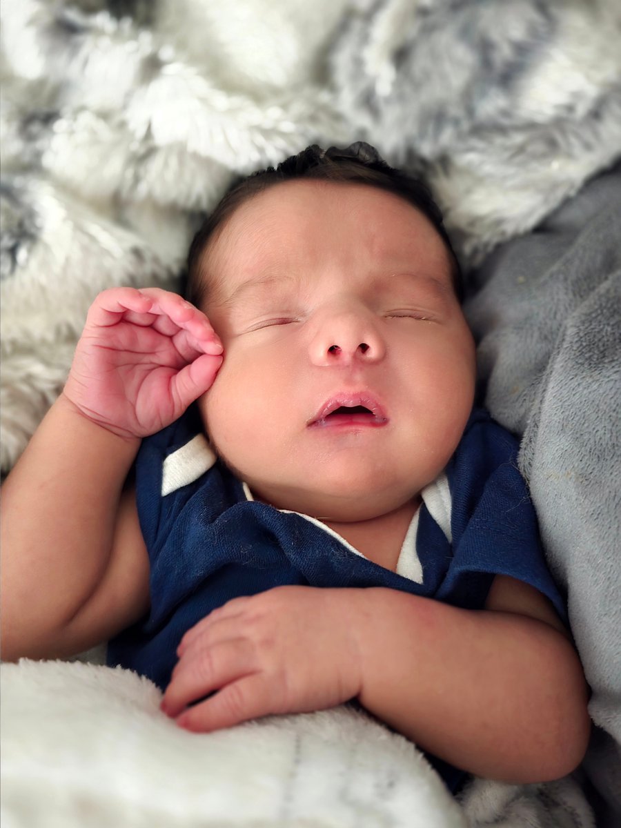 FallTonight85's tweet photo. @elonmusk Just look at his cheeks! I can't believe he is two weeks old already! https://t.co/bzJIayie4W