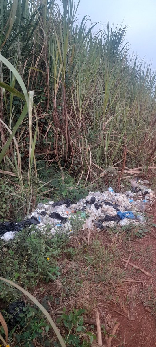 LazarusItesot's tweet image. Is this kind of shit really fair to the community.
Ministry should do something about the littering of such dangerous waste in a public road.