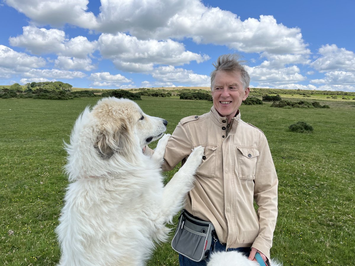 huwcol's tweet image. Me and one of my dogs, Arwen, out on Dartmoor yesterday.