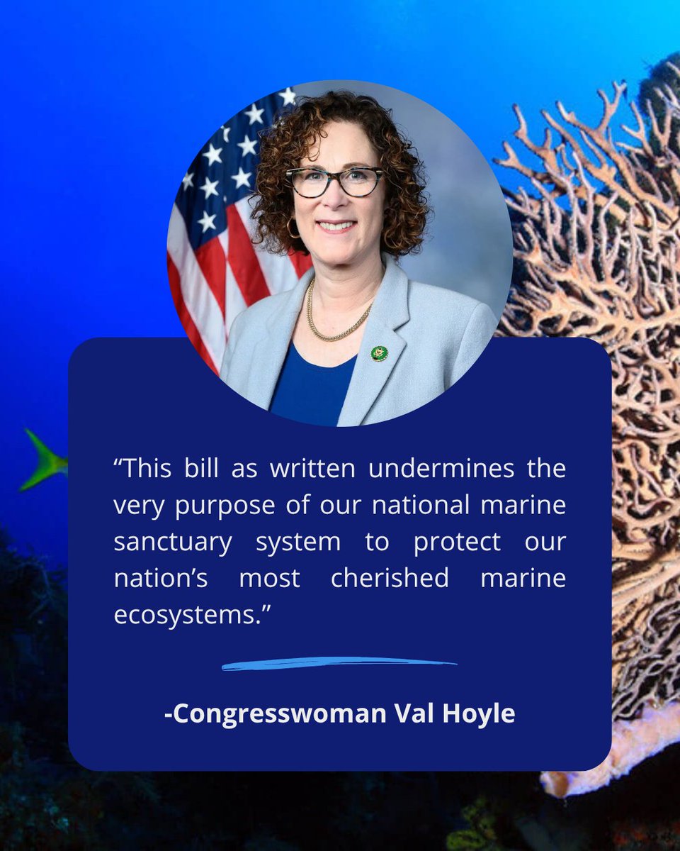 National Ocean Protection Coalition (NOPC) (@oceancoalition) on Twitter photo Thank you <a href="/RepHuffman/">Rep. Jared Huffman</a> <a href="/RepValHoyle/">Representative Val Hoyle</a> for speaking out against the Undersea Cable Protection Act. This bill allows tech companies to disrupt delicate habitat in our marine sanctuaries with NO accountability. Thank you <a href="/RepHuffman/">Rep. Jared Huffman</a> <a href="/RepValHoyle/">Representative Val Hoyle</a> for speaking out against the Undersea Cable Protection Act. This bill allows tech companies to disrupt delicate habitat in our marine sanctuaries with NO accountability.