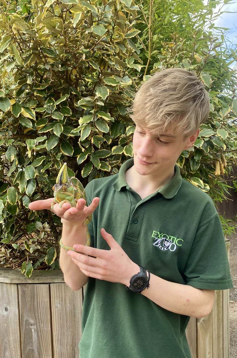 💚 A huge THANK YOU to our amazing volunteers – we couldn’t do it without you! 🦎

Want to get involved?
Whether you love animals, want to gain experience, or give back to the community – there’s a place for you here!

📧 volunteer@exoticzoo.co.uk

#ExoticZoo  #ThankYouVolunteers