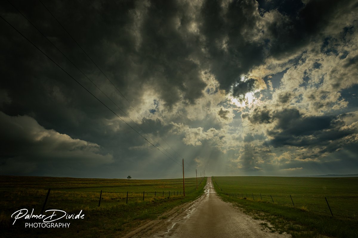 Palmer Divide Photography tweet media