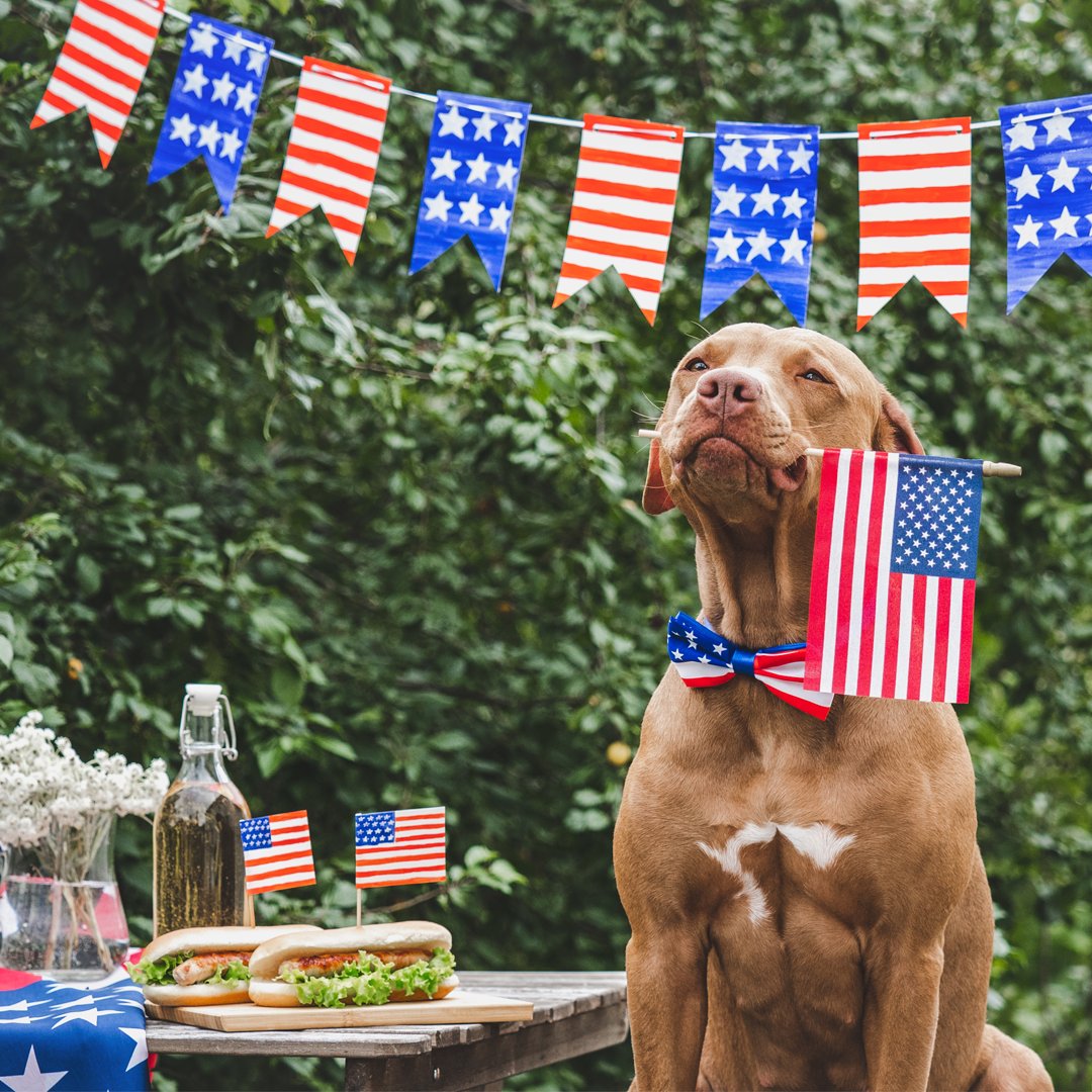 Wishing you and your family a happy and safe holiday! 🎇🎉

Our U.S. offices will be closed on Friday, July 4th in celebration of the holiday.

#independenceday #4thofjuly