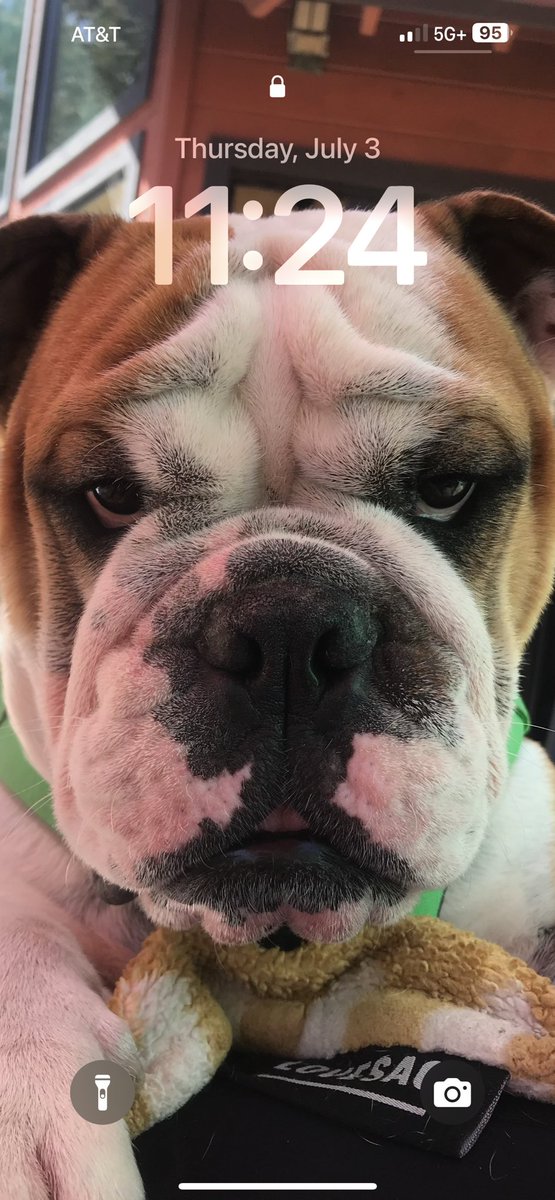 Grrrrrrrrr