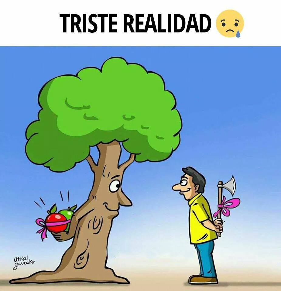 Triste realidad 😞