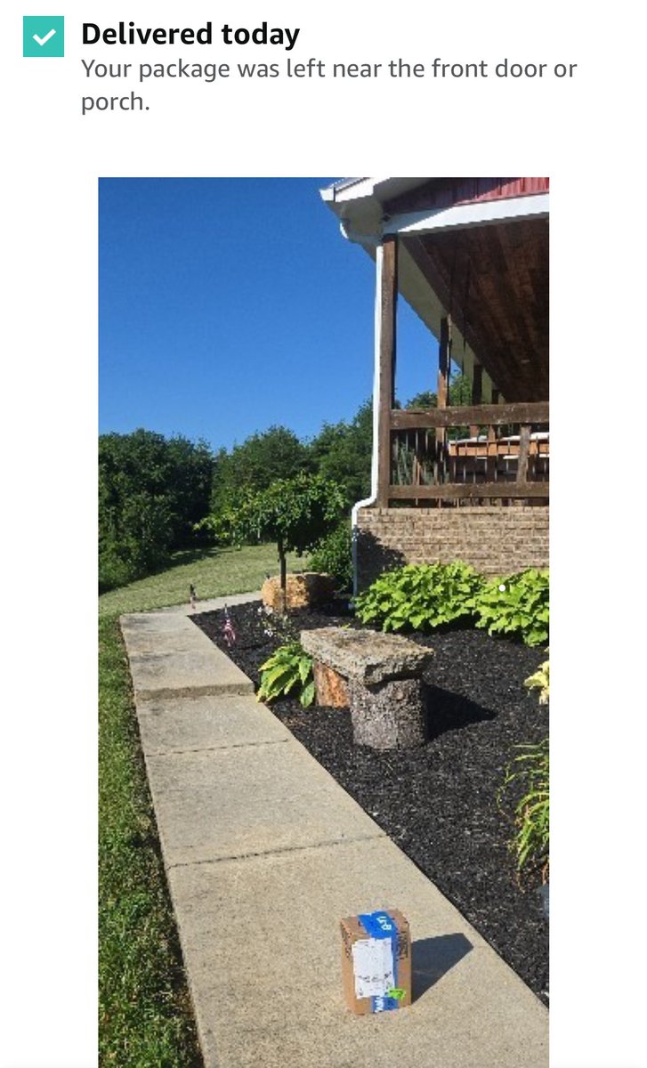 Amazon said package was delivered to the front door. Lazy delivery driver.