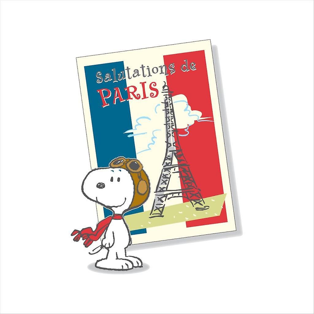 snoopy travels!