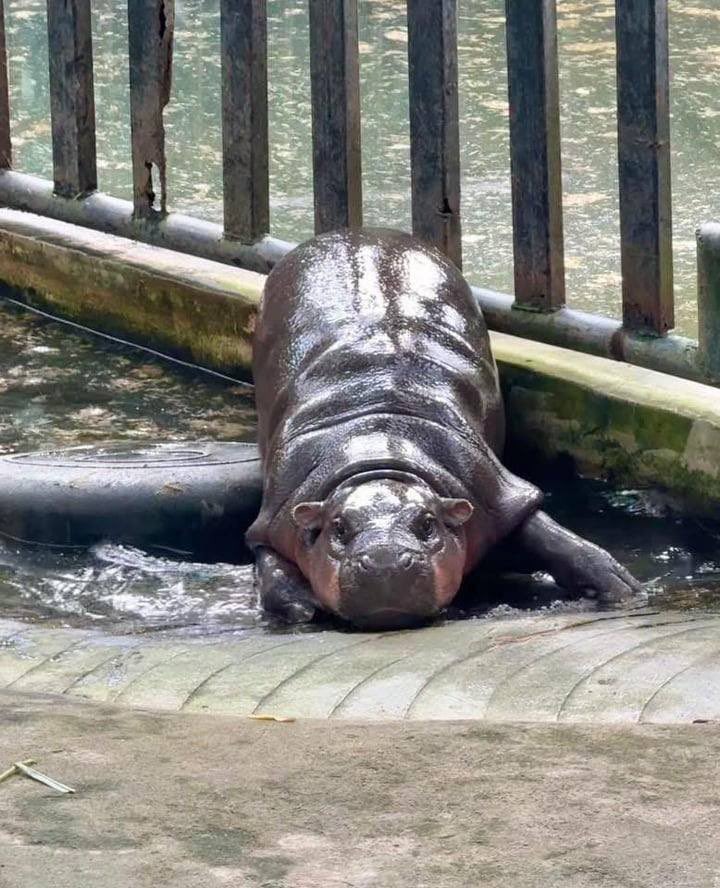 KookCapitalLLC's tweet photo. relaxing waiting for btc ath https://t.co/QXW0l5AdWH