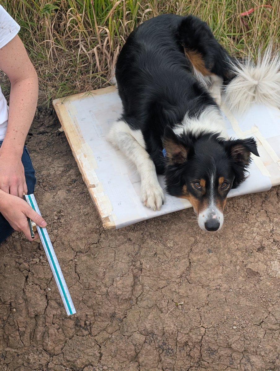 The Poulton Project tweet media