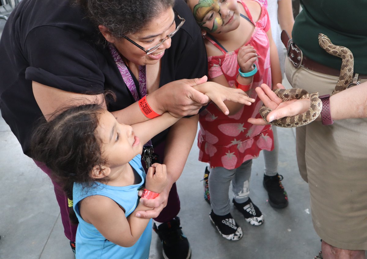 LifespanRespite's tweet image. Lions, tigers, and bears - oh my! Families had a blast at the Respite Zoo Picnic at Omaha&apos;s Henry Doorly Zoo with Peppa the Eastern Hognose Snake! Unlimited rides and grilled burgers to kick off summer! 🐍🌞 #RespiteCare #OmahaZoo