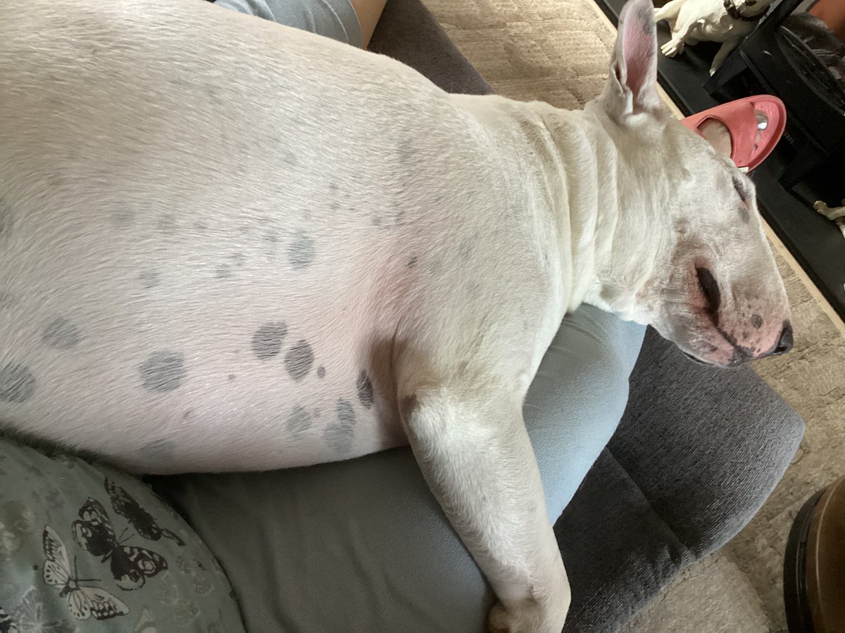 Comfy there Bert FFS he’s killing me …🙄🙄🙄