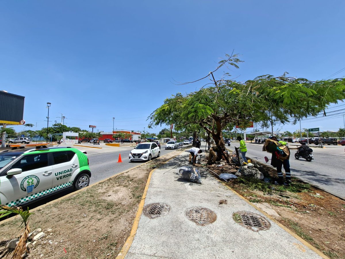 ✅ A través de las Jornadas de Atención Ciudadana “Cancún Nos Une”, atendimos un reporte sobre un pequeño basurero clandestino que se estaba formando en la ciclovía de Av. Chacmool con Av. 20 de Noviembre.

🚮 En el lugar se realizó la limpieza y retiro de todo tipo de residuos.