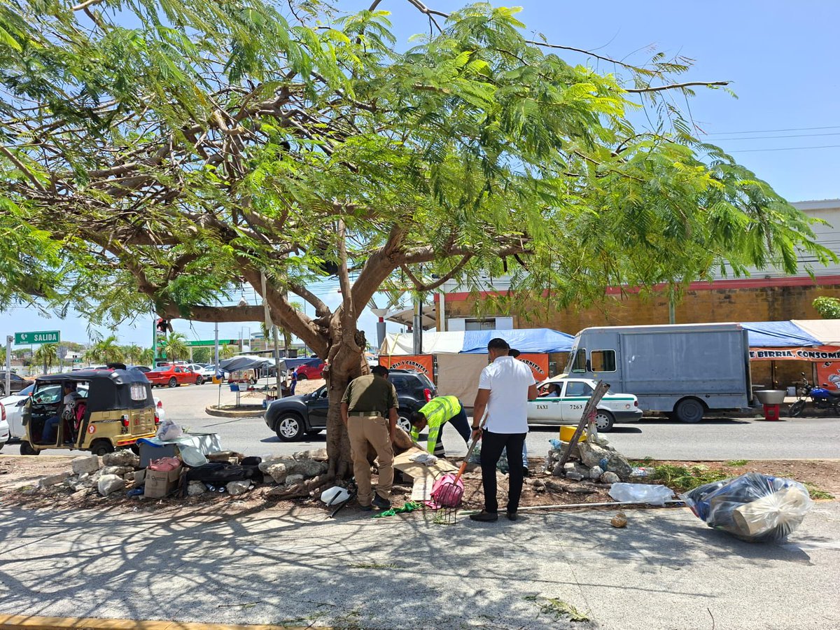 Siresol Cancún tweet media