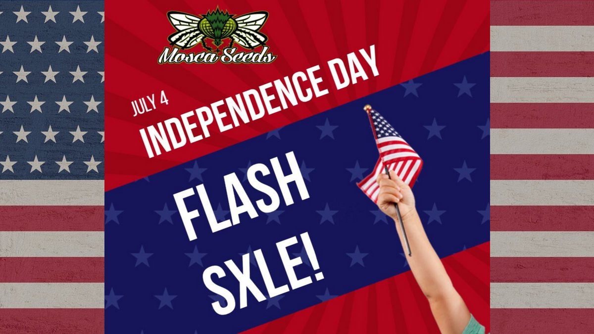 MoscaSeeds's tweet photo. Special BOGO PROMO for the Fourth!๐ฅ ๐ฅ
Details on https://t.co/Ue1cWF8aR6
#moscaseeds #cannabis #cannabiscommunity #cannabisculture #CannabisNews #Mmemberville #CannabisIllinois #ILCannabis #SupportLocalWeed #ilmmj #illinoismedicalpatient https://t.co/JWxpPpfB2R