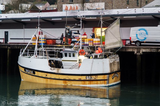 NewlynFishing's tweet photo. Prime🐟 courtesy of #BeamTrawler ‘Trevessa’ includes #CornishSole Lem/DoverSole’ J’Dory’Monk’RedMullet ect’ with #GillNetter ‘Ygraine’ landing @MSCecolabel #CornishHAKE at #NewlynMkt side for #FishFriday morning Auction! @StevensonNewlyn @trelawneyfish @NFFF_UK @Cornishfpo #FreshCornish