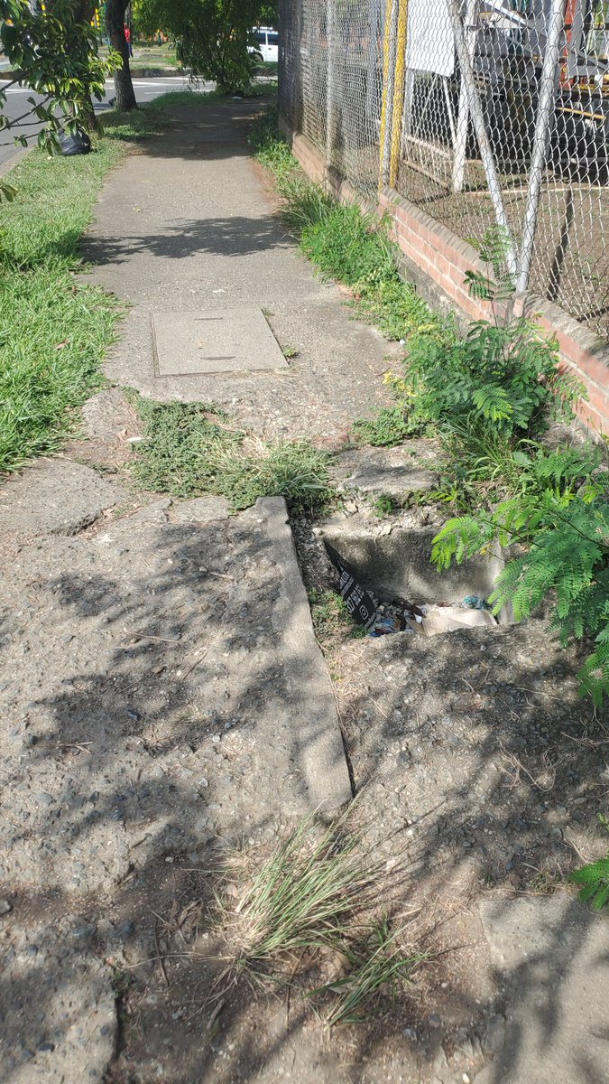 "todo el tiempo tienen que mirar al suelo para no caerse en sus estrechos andenes a causa de sus desniveles, tropezaderos, pendientes, postes y obstáculos diversos que suelen tener los de esta ciudad sin andenes de verdad, o hacerlo por las calzadas" elpais.com.co/opinion/column…