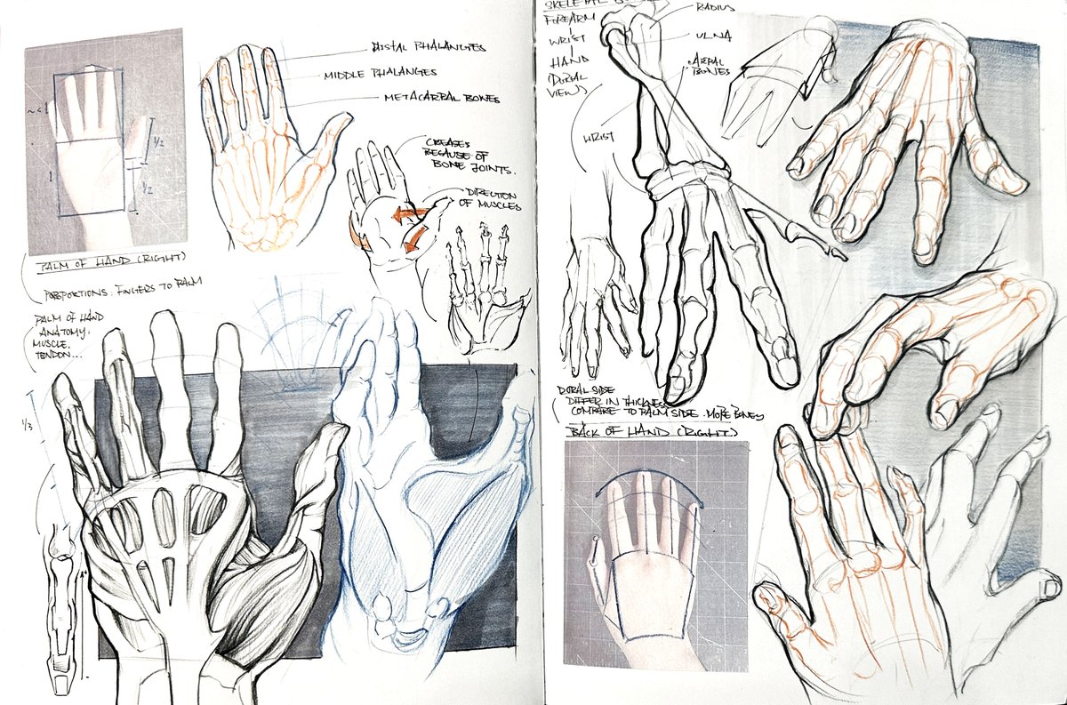 zhenyutong's tweet photo. more snippets from my design sketchbook:
hand-washing + anatomy studies https://t.co/w0B2mFURbV