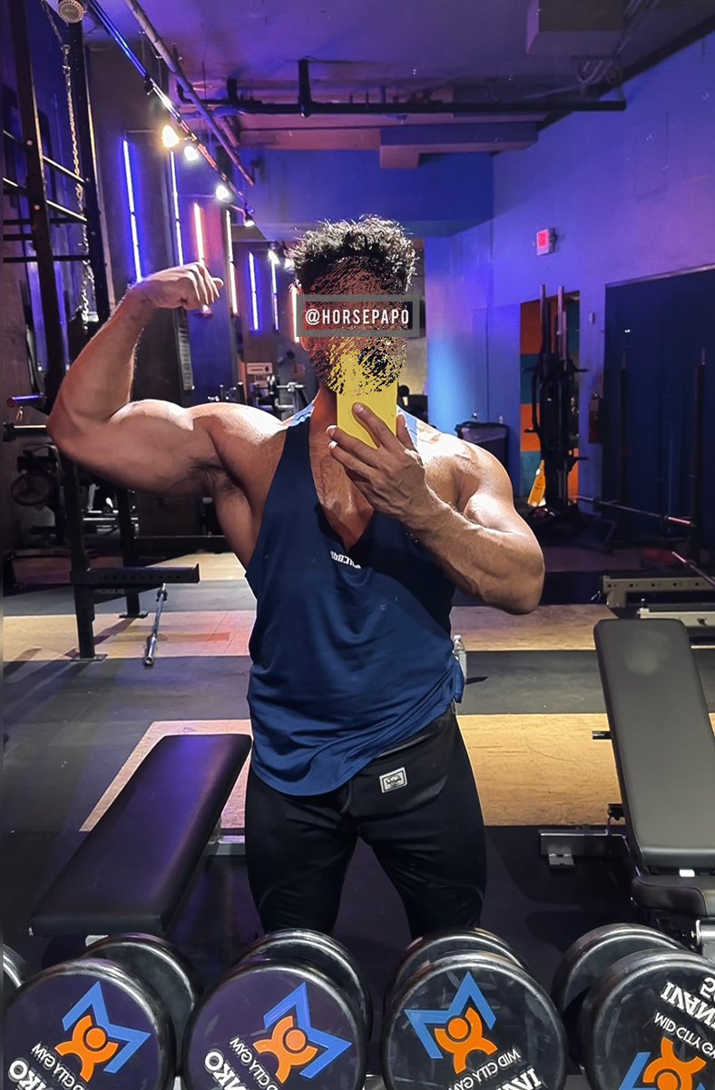 Horsepapo tweet media