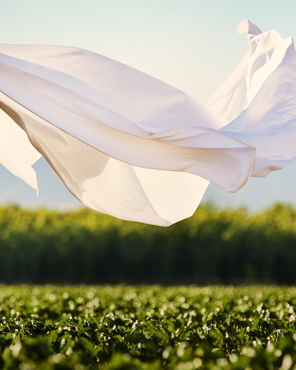 Supima's tweet image. Warm weather calls for fabrics that breathe easy. Supima cotton keeps it light, soft, and durable, so you can feel good all season long.