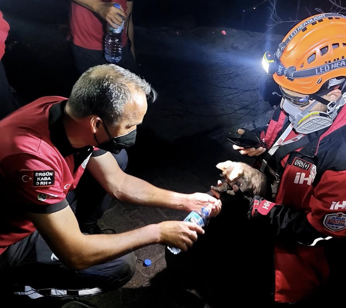 Canları pahasına candan sayılmayanları kurtarıyorlar . Evi yanan insanoğlu ile evi yanan bu canların hiçbir farkı yok . 

 #izmiryanıyor