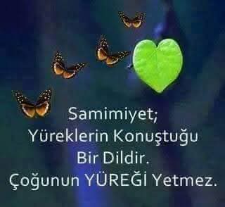 müslüm çalık (@cal_muslum48966) on Twitter photo 