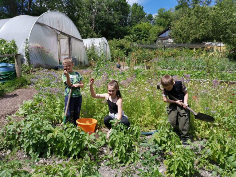 Brighton & Hove News tweet media