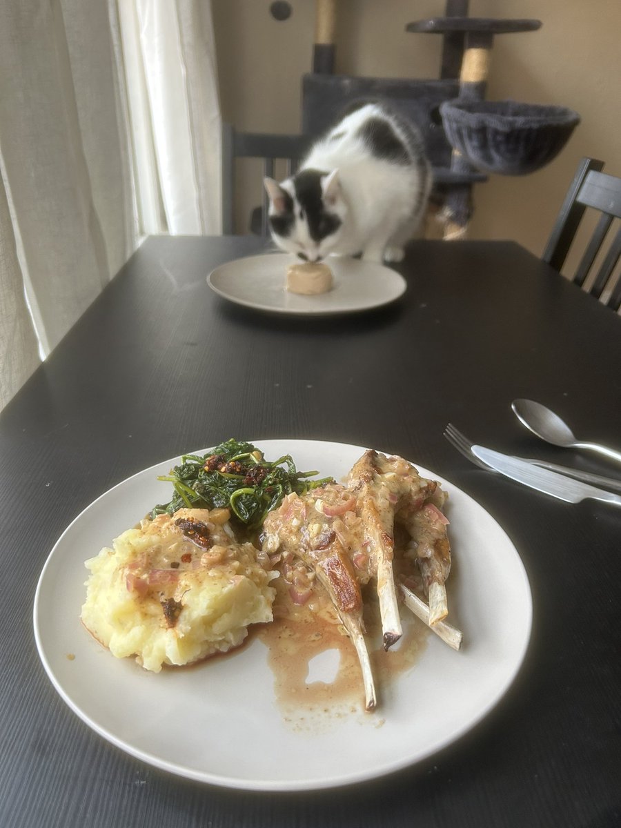 date night w bae, too bad my perfect pan sauce is covering up the beautiful sear on these lamb chops