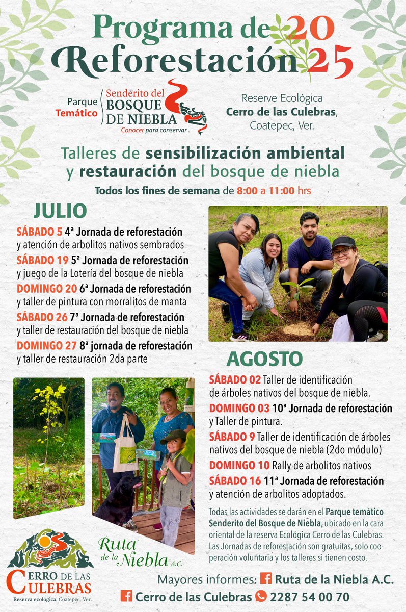 Visita Coatepec tweet media